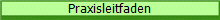 Praxisleitfaden